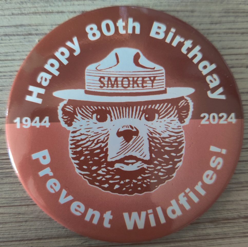 Commemorative 80 year pin