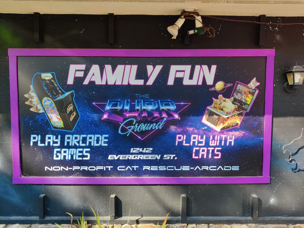 The Purr Ground is proud to be one of only two cat rescues that allow kids, making it family friendly!