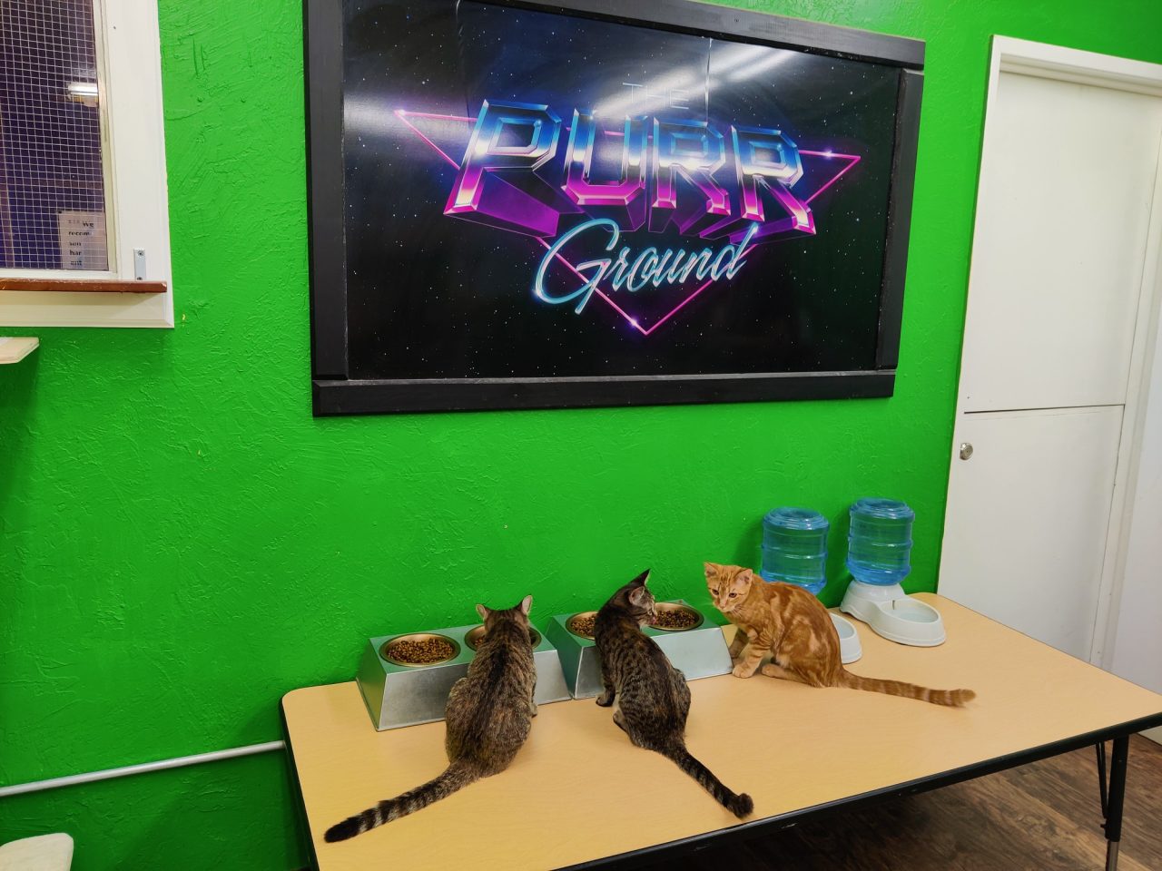 Time to take a break and have some lunch!