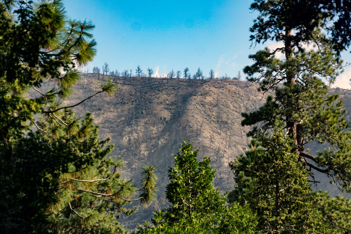 Table Mountain from Lark