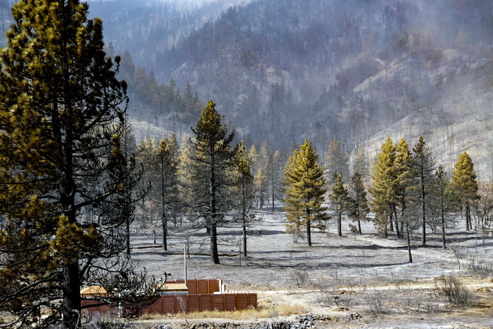 Another view looking up the canyon from Highway 2 just below Mountain High East.