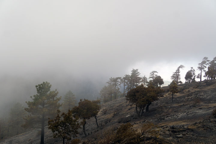 The view from Table Mountian lookout. Coo, wet clouds are moving in this on this morning.