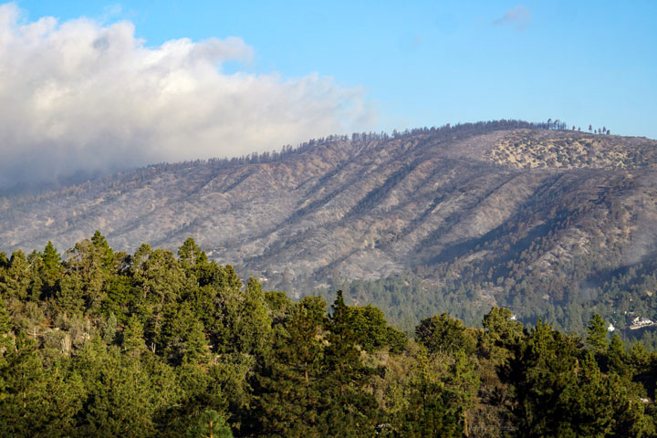 Table Mountain from Wright Mountain