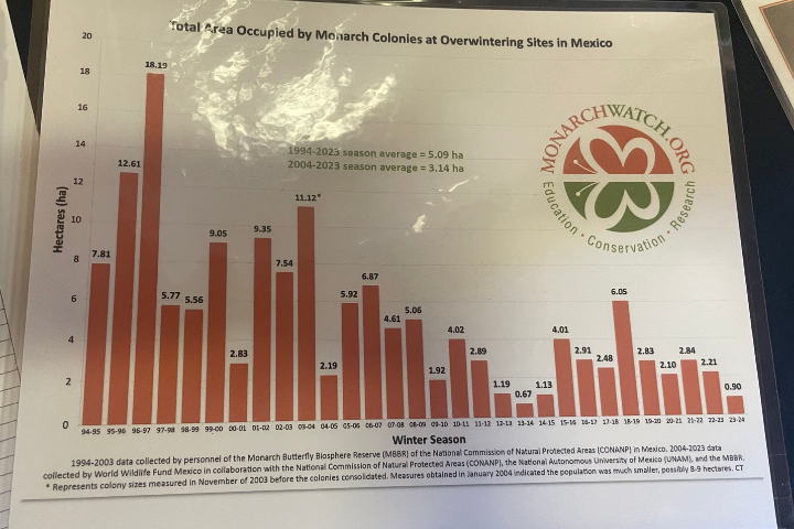 Data reflects some concerning insight for the Monarch colonies which are experiencing lower than average numbers this year