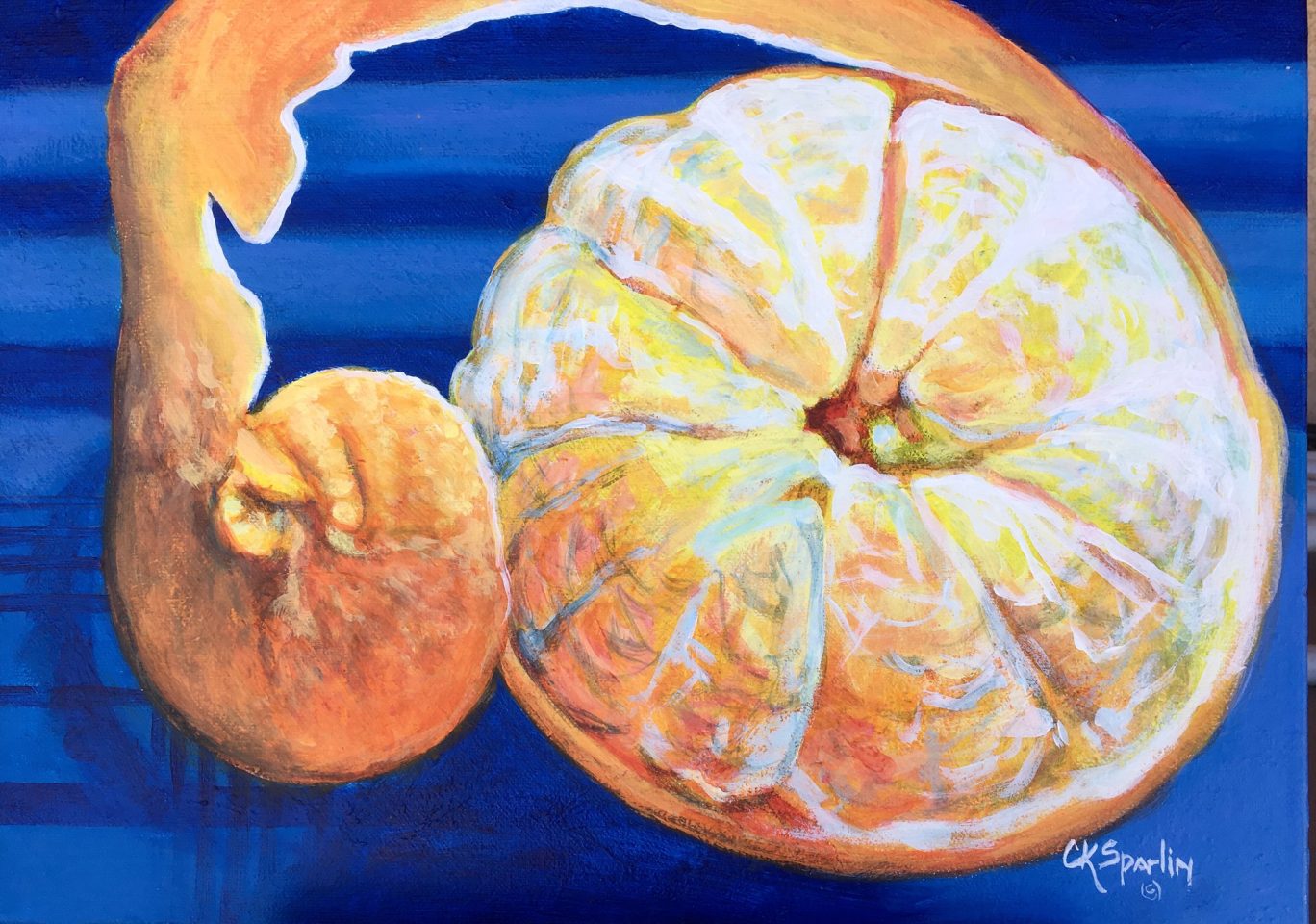 Colleen Sparlin’s exhibit will remain on display throughout June at the Wrightwood Community Arts Center & Gallery. (Photo by Colleen Sparlin)