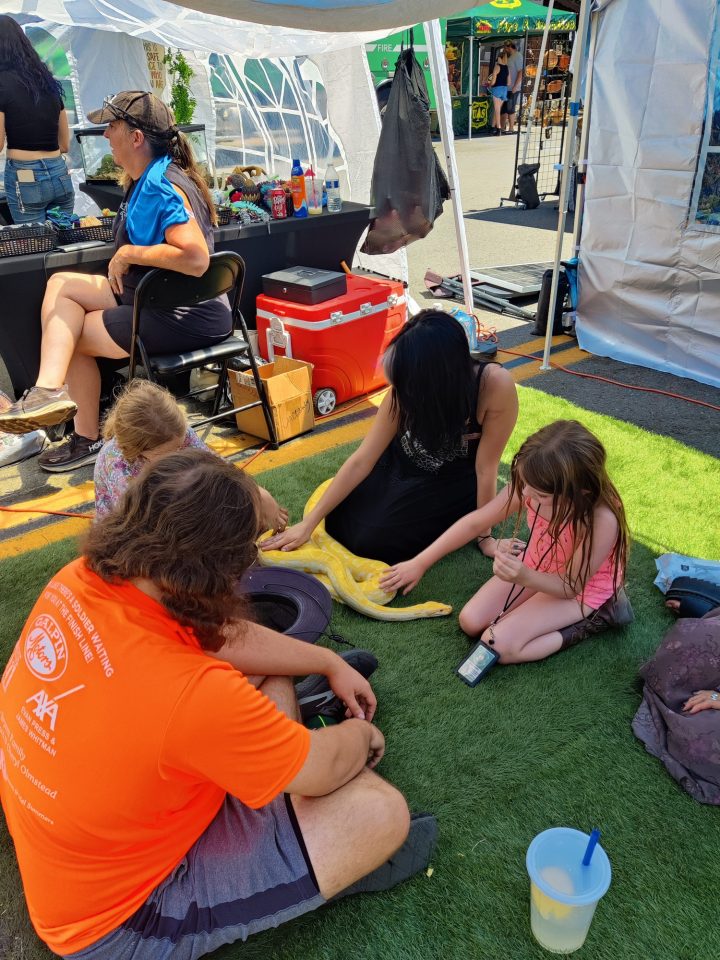 Spending time up close with snakes at the Slithers and Crawls booth.
