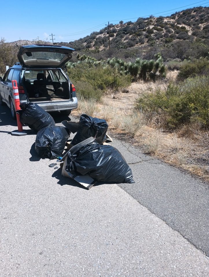 Hard work completed and trash bags ready to be taken to the dump!