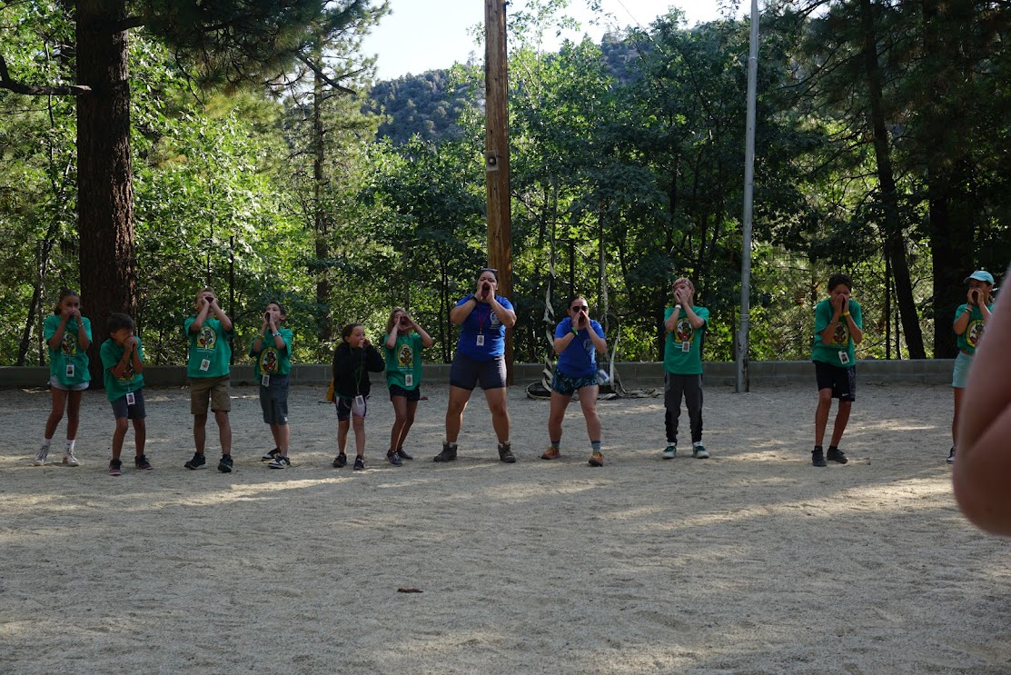 "Lions Lions Lions ROOOOAAAAAR" tradition camp spirit